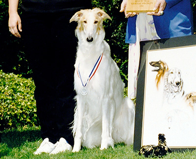 1999 Obedience Open Class 'A' - 1st