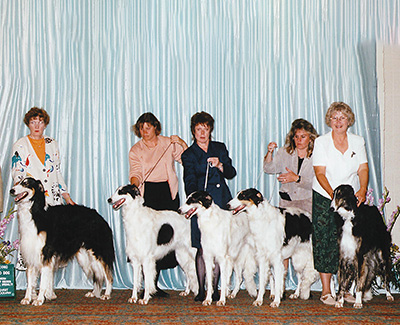 1999 Stud Dog Class - 2nd