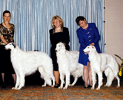 1999 Stud Dog Class - 3rd