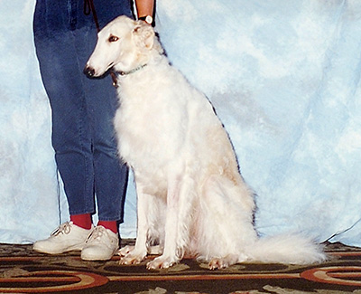 2000 Obedience Novice Class 'B' - 1st