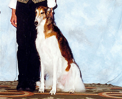 2000 Obedience Utility Class - 1st