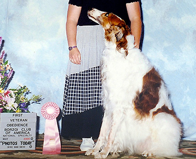 2000 Obedience Veteran Class - 1st