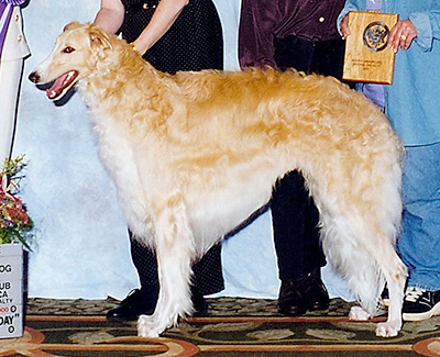 2000 Reserve Winners Dog