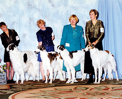 2000 Stud Dog Class - 1st