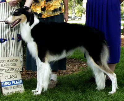 2001 Bitch, Amerian Bred - 3rd