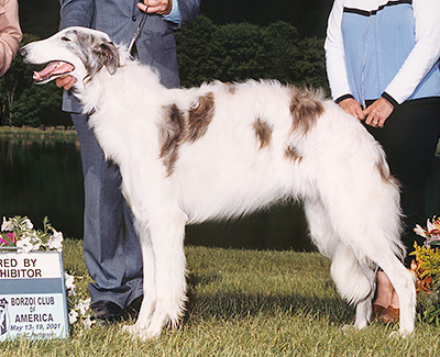 2001 Best Bred By Exhibitor In Specialty