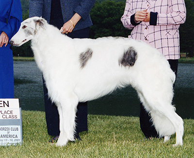 2001 Dog, Open - 4th