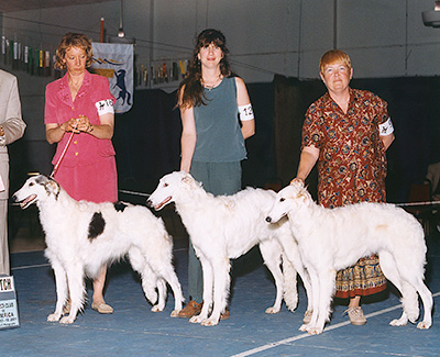 2001 Futurity Brood Bitch Class - 1st