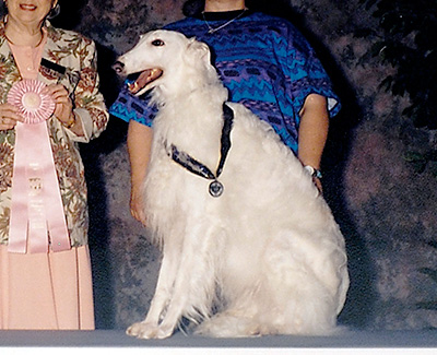 2001 Obedience Award of Merit