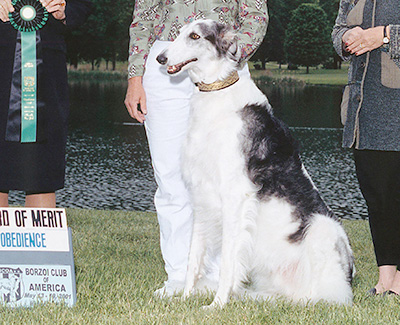 2001 Obedience Award of Merit