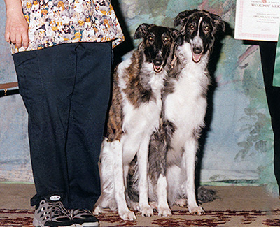 2001 Obedience Brace Class - 1st