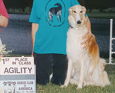 2001 Agility Standard Open - 1st