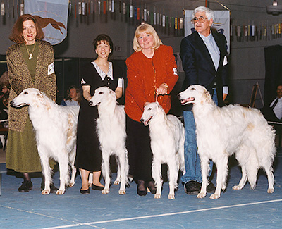 2001 Stud Dog Class - 2nd