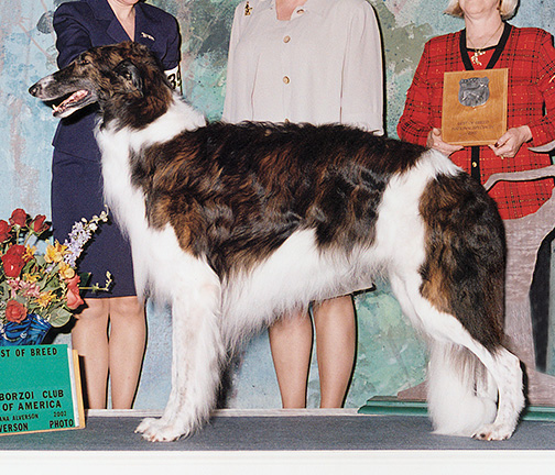 2002 Best in Specialty