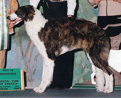 2002 Dog, 6 months and under 9 - 3rd