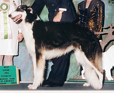 2002 Futurity Senior Dog, 18 months and under 21 - 1st