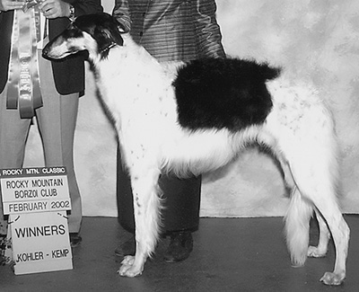 2002 Futurity Dog, 12 months and under 15 - 3rd