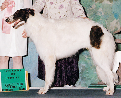 2002 Futurity Dog, 15 months and under 18 - 1st