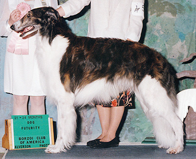 2002 Futurity Dog, 21 months and under 24 - 1st