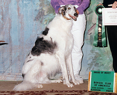 2002 Obedience Award of Merit