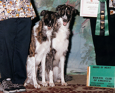 2002 Obedience Award of Merit