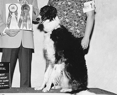 2002 Obedience Novice Class 'B' - 2nd