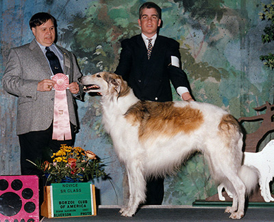 1997 Open Junior Showman Class - 1st