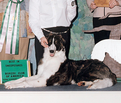 2002 Best in Puppy Sweepstakes