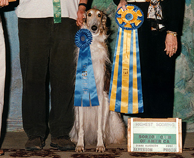 2002 Second in Triathlon