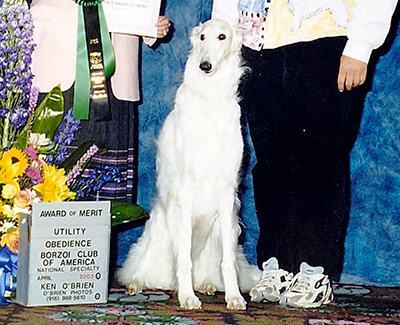 2003 Obedience Award of Merit