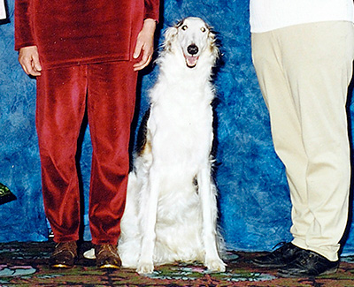 2003 Obedience Award of Merit