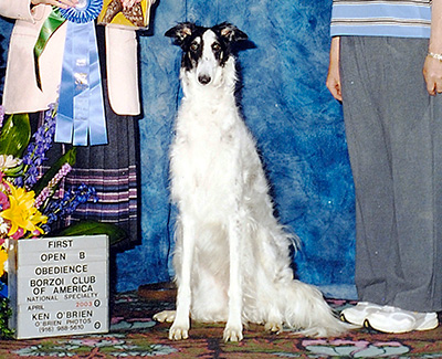 2003 Obedience Open Class 'B' - 1st