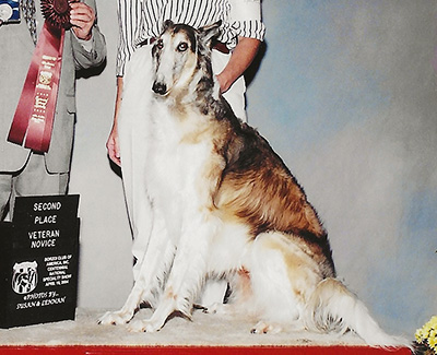 2003 Obedience Veteran Class - 2nd