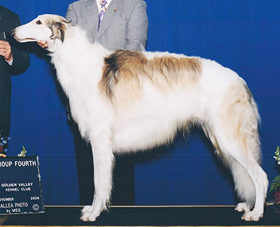 2003 Stud Dog Class - 2nd