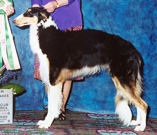 2003 Best in Puppy Sweepstakes