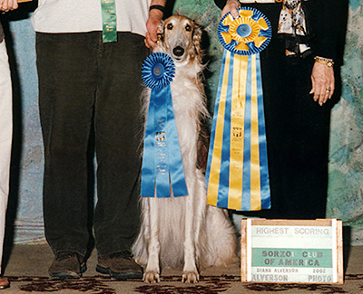 2003 Second in Triathlon