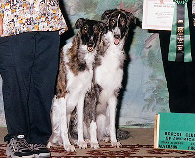 2004 Obedience Brace Class - 1st