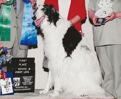 2004 Obedience Novice Class 'A' - 1st