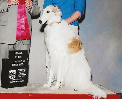 2004 Obedience Novice Class 'B' - 2nd