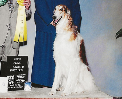 2004 Obedience Novice Class 'B' - 3rd