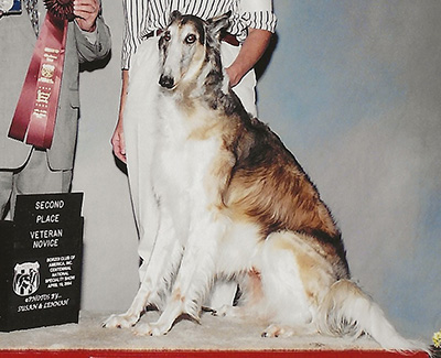 2004 Obedience Veteran Class - 2nd