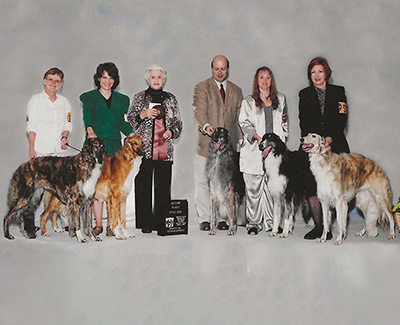 2004 Stud Dog Class - 2nd