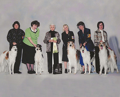 2004 Stud Dog Class - 3rd