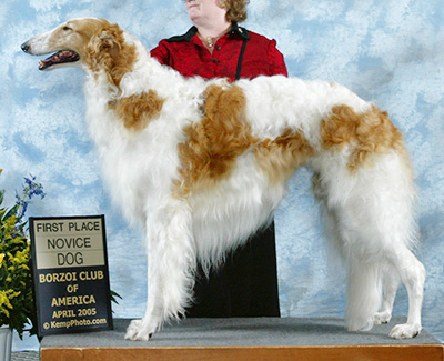 2005 Dog, Novice - 1st