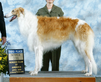 2005 Dog, Novice - 3rd