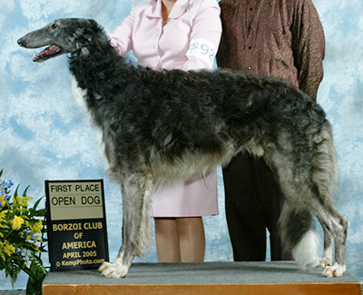 2005 Dog, Open - 1st