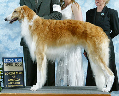 2005 Dog, Open - 2nd