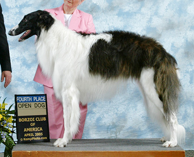 2005 Dog, Open - 3rd