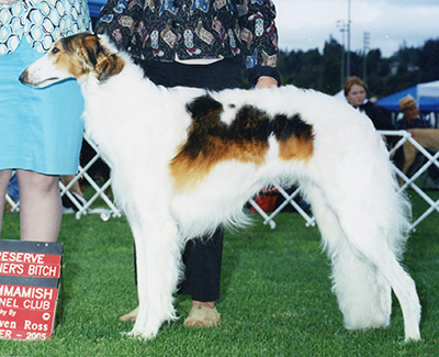 2005 Futurity Bitch, 9 months and under 12 - 3rd