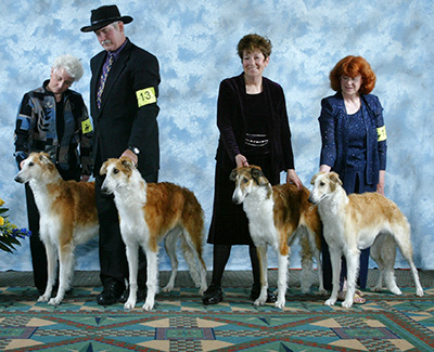 2005 Futurity Brood Bitch Class - 1st